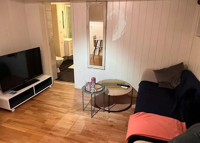 Cozy 1 Bedr Apartment Close To Everything!