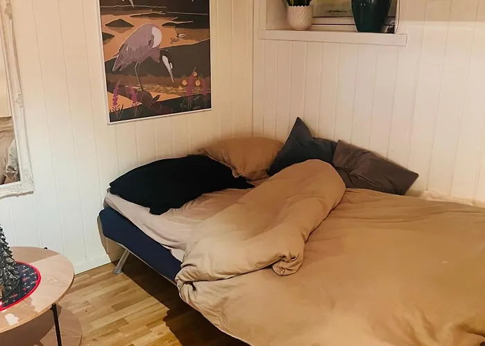 Cozy 1 Bedr Apartment Close To Everything!